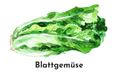 Saatgut - Blattgemüse - Dein Gemüsebeet