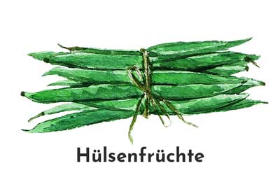 Saatgut - Hülsenfrüchte - Dein Gemüsebeet