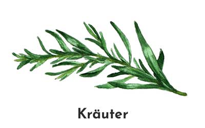 Saatgut - Kräuter- Dein Gemüsebeet