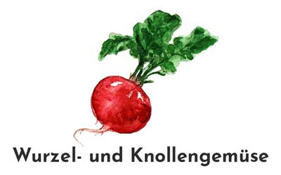 Saatgut - Wurzel- und Knollengemüse - Dein Gemüsebeet